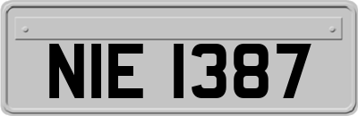 NIE1387