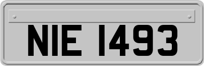 NIE1493