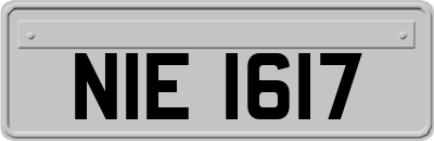 NIE1617