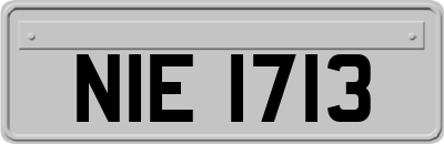 NIE1713
