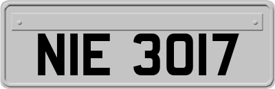 NIE3017