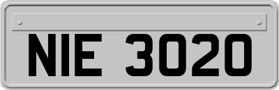 NIE3020