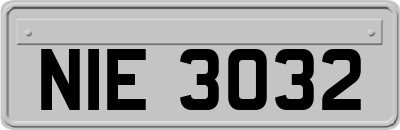 NIE3032