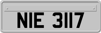 NIE3117