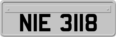 NIE3118