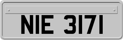 NIE3171