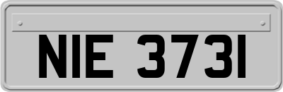 NIE3731