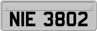 NIE3802