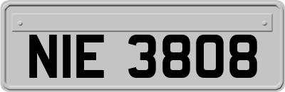 NIE3808