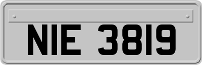 NIE3819