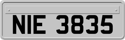 NIE3835