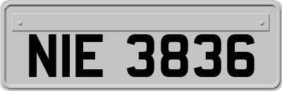 NIE3836