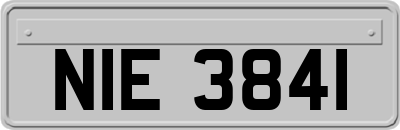 NIE3841
