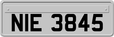NIE3845
