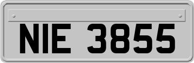 NIE3855