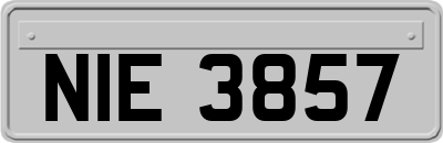 NIE3857