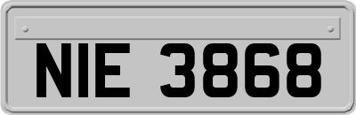 NIE3868