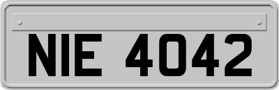NIE4042