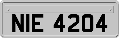 NIE4204