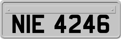 NIE4246