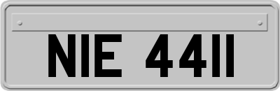 NIE4411