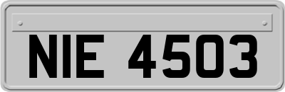 NIE4503