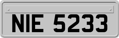 NIE5233