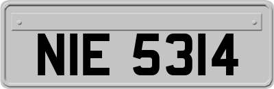 NIE5314