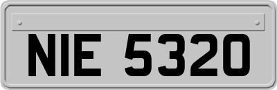 NIE5320