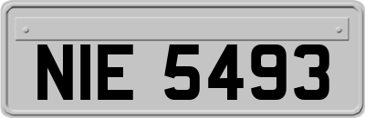 NIE5493