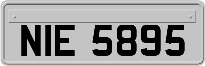 NIE5895