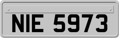 NIE5973