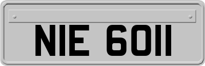 NIE6011