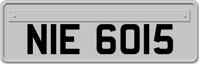 NIE6015
