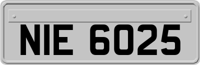 NIE6025