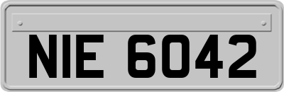 NIE6042
