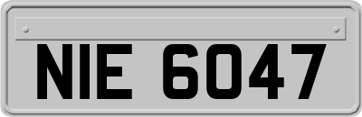 NIE6047