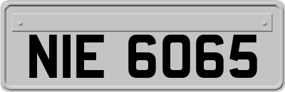 NIE6065