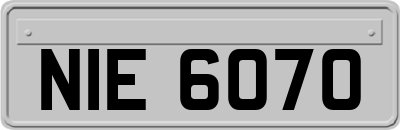 NIE6070