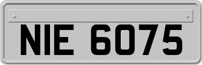 NIE6075