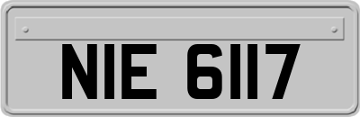 NIE6117