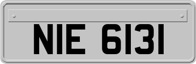 NIE6131