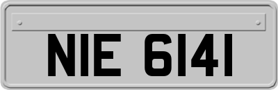 NIE6141