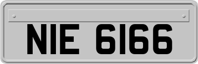 NIE6166
