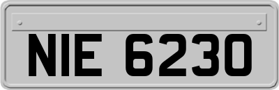 NIE6230