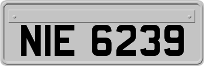 NIE6239