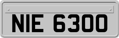 NIE6300