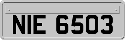 NIE6503