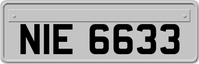 NIE6633
