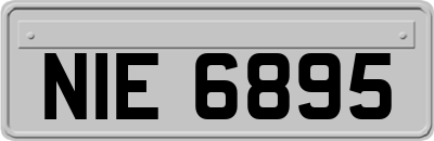 NIE6895